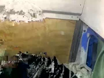 Come Have Fun avatar